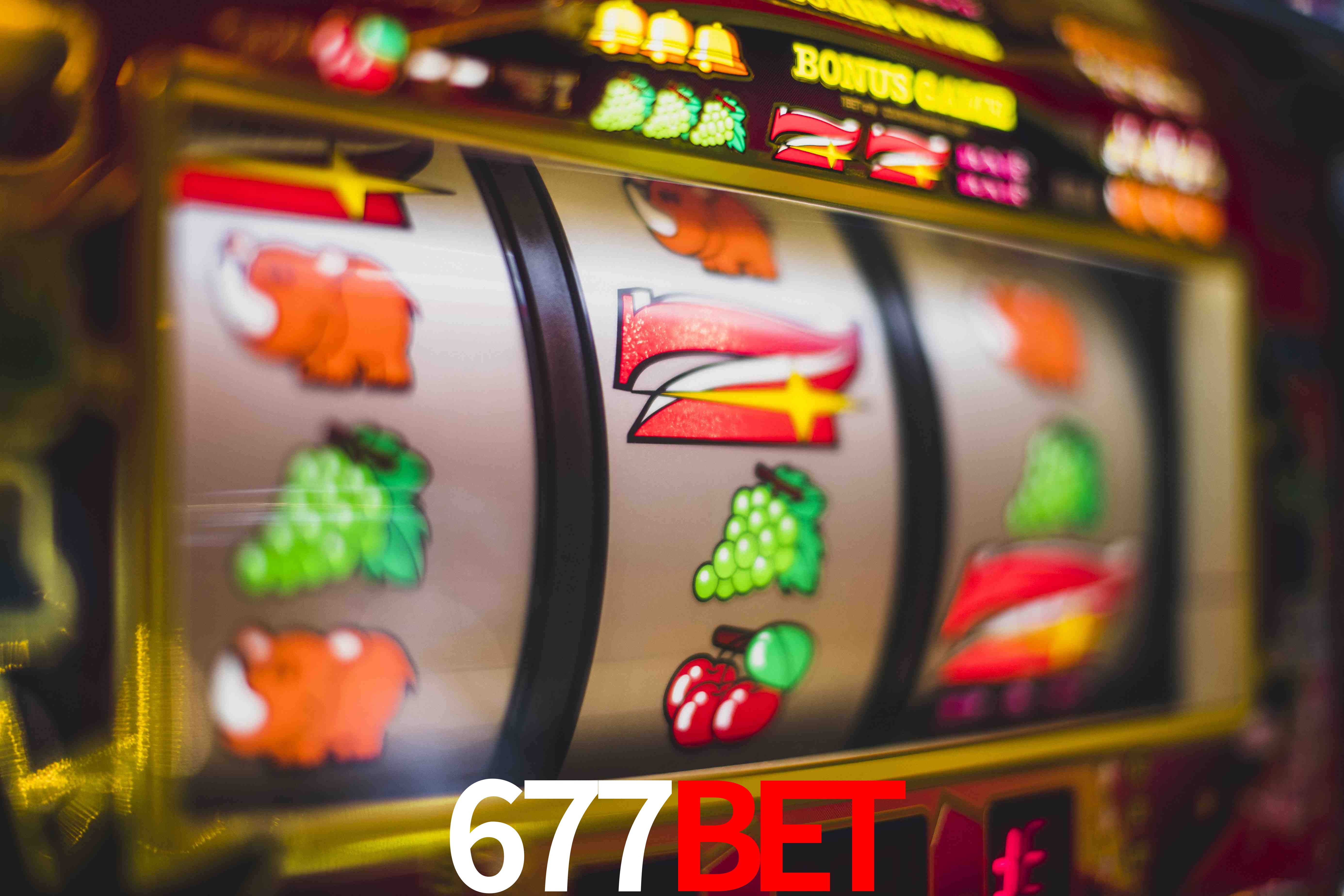 Sports Statistics 677Bet
